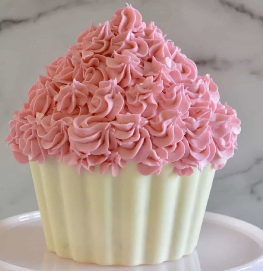Giant Cupcake