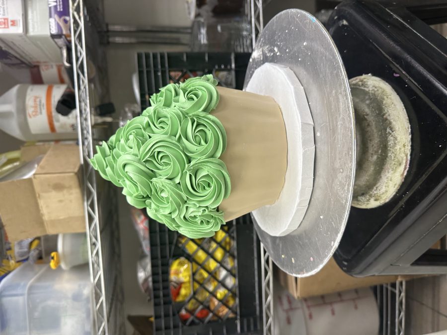 Giant Cupcake