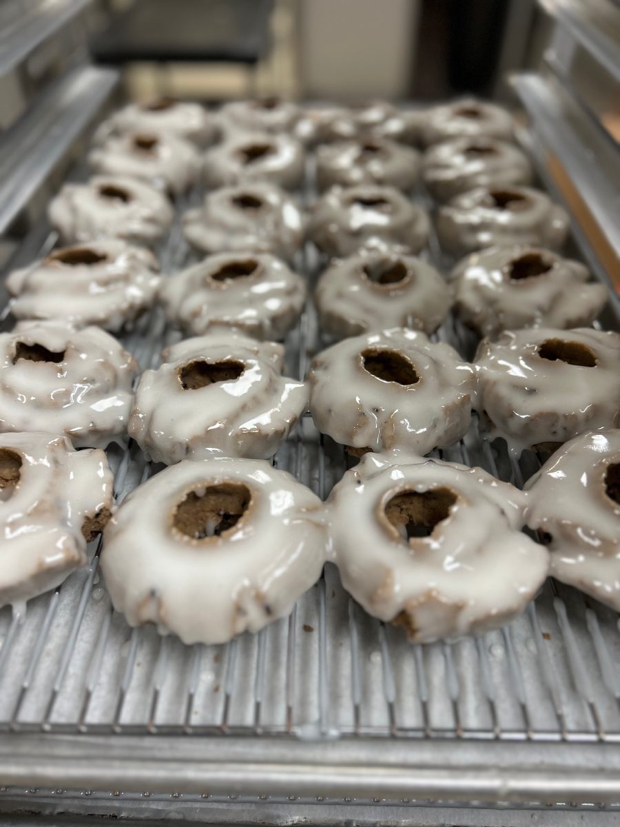 Cake Donut Box (Variety)