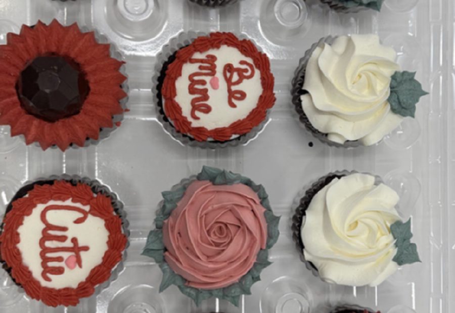 Valentine's Cupcake 6 Packs