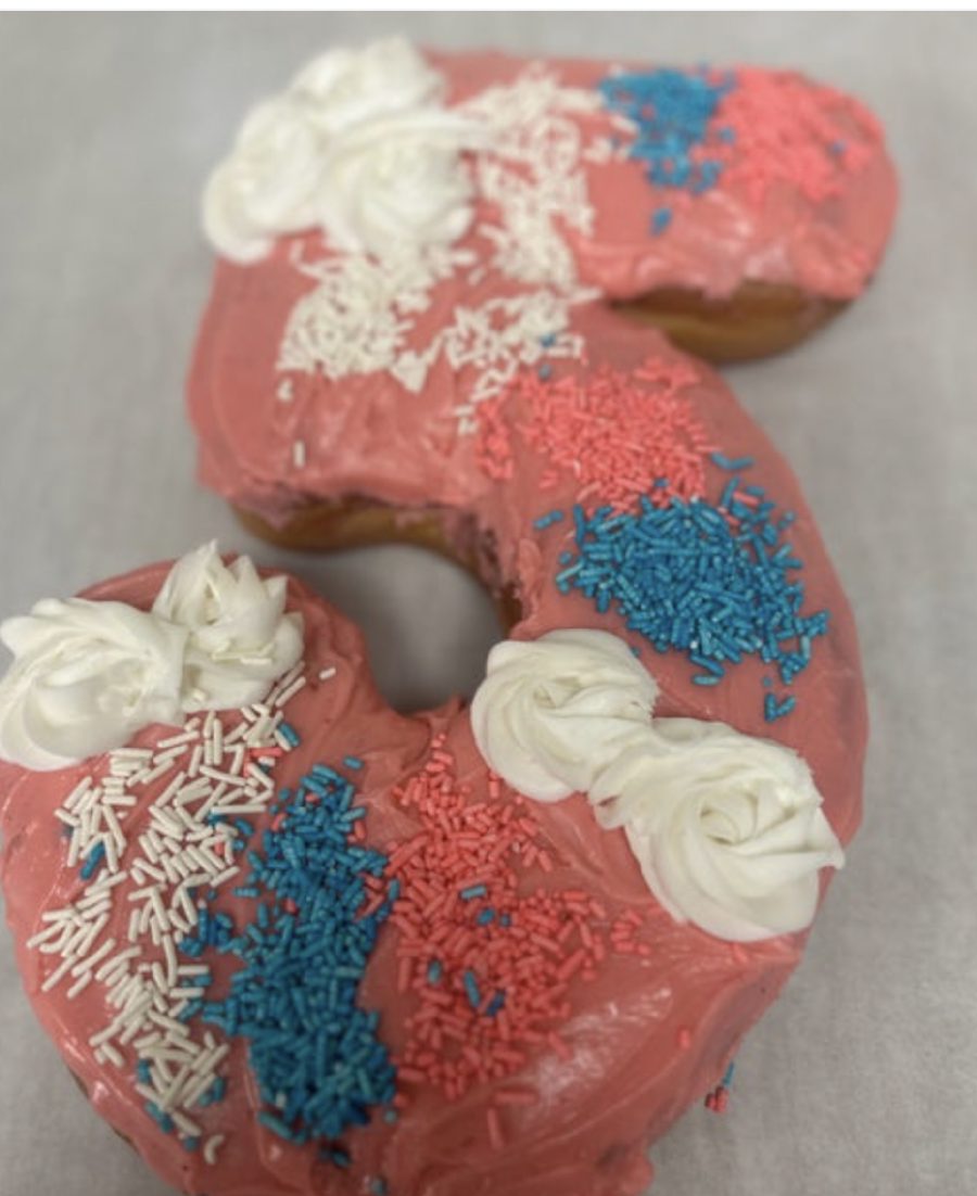 Vegan 11 inch Donut