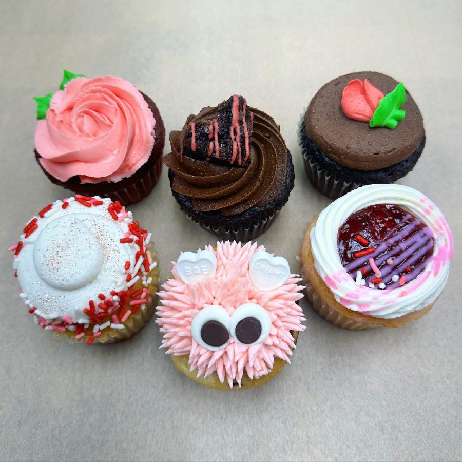 12 Pack Case Cupcake